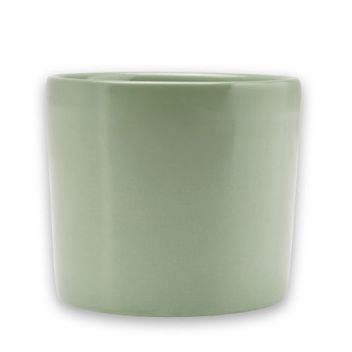 Beker - Salzkammergut - saliegroen - 0,25 ltr