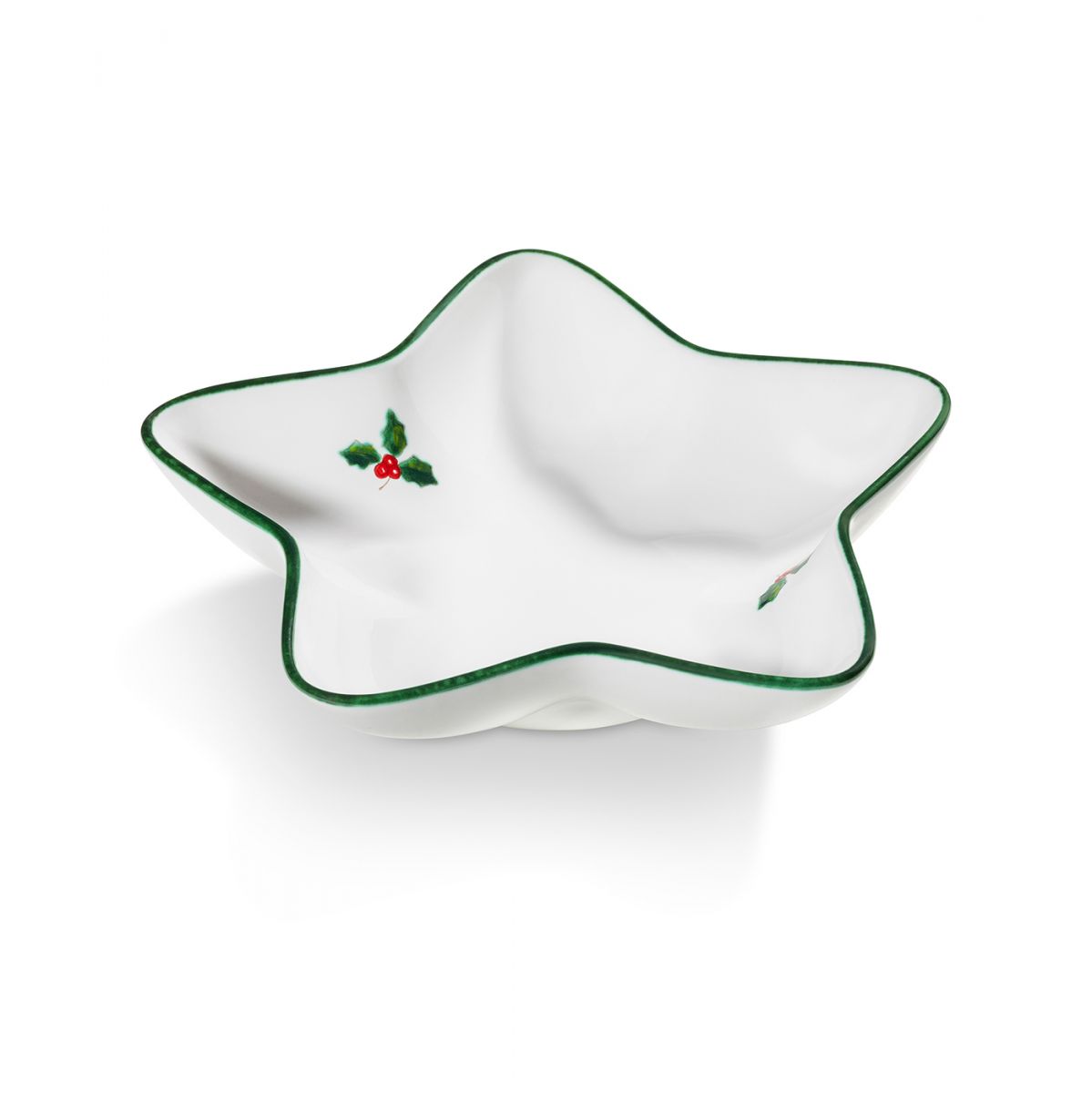 Schaaltje ster - Winterbes groen - 22 cm